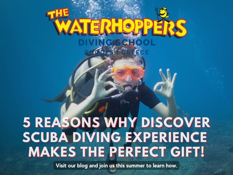 5 Reasons why The Waterhoppers Discover Scuba Diving Experience makes the Perfect Gift
